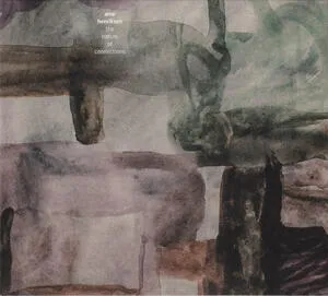 The nature of connections